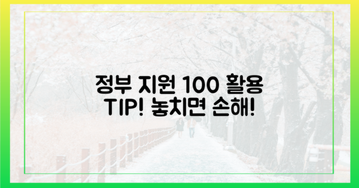 정부 지원, 100% 활용하는 법!