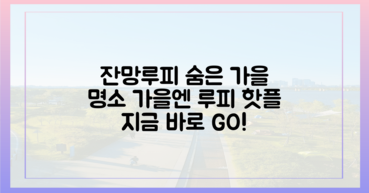 가을, 잔망루피 숨은 명소 어디?