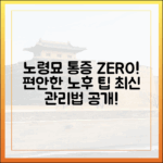 노령묘의 편안한 노후를 위한 최신 통증 관리 방법