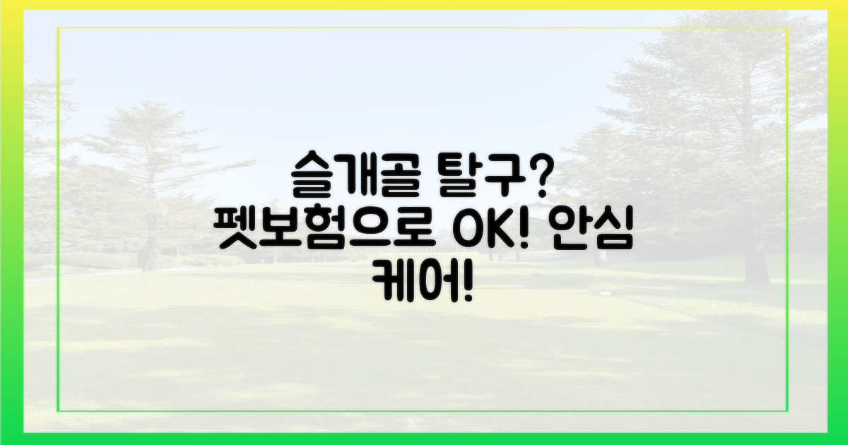 슬개골 탈구, 펫보험으로 든든하게!