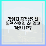 우리 강아지 공격성, 뇌 질환 신호일 수 있다는 사실 알고 계셨나요?