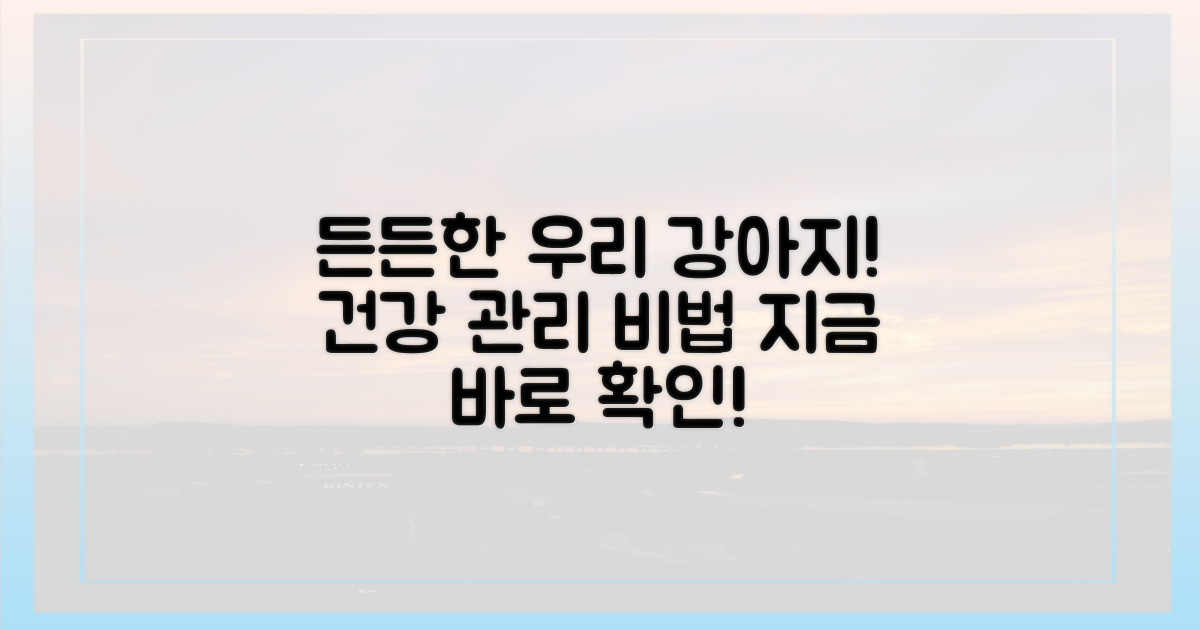 우리 강아지, 든든하게!