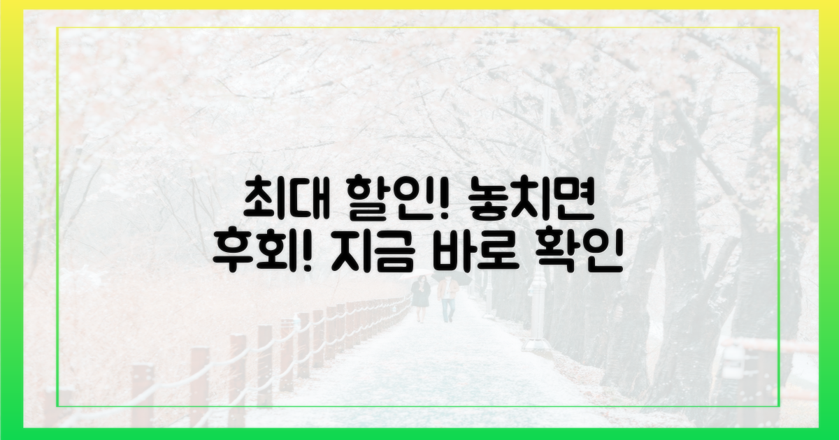 놓치면 후회! 최대 할인 파헤치기