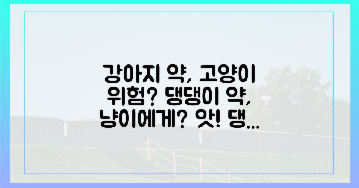 강아지 약, 고양이에게 위험할까?