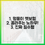 내 강아지에게 딱 맞는 펫보험 고르는 노하우 대공개