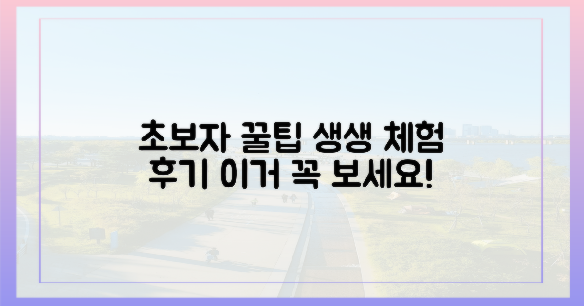 초보자 눈높이 체험 후기