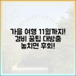 11월까지! 가을 여행 경비 꿀팁