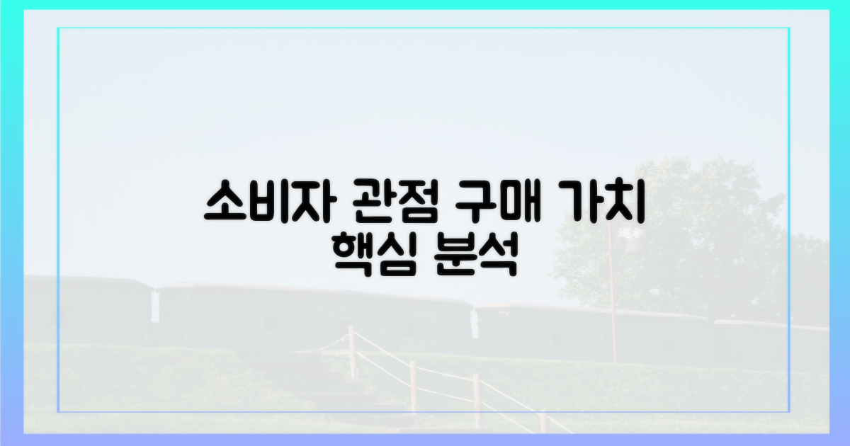 소비자 관점, 구매 가치