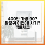 팔랑귀 이현이, 400만원 가방 90% 세일? 사기일까?