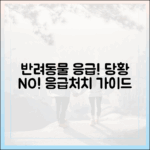 응급 상황 발생! 당황하지 마세요: 꼭 알아둬야 할 반려동물 응급처치 가이드