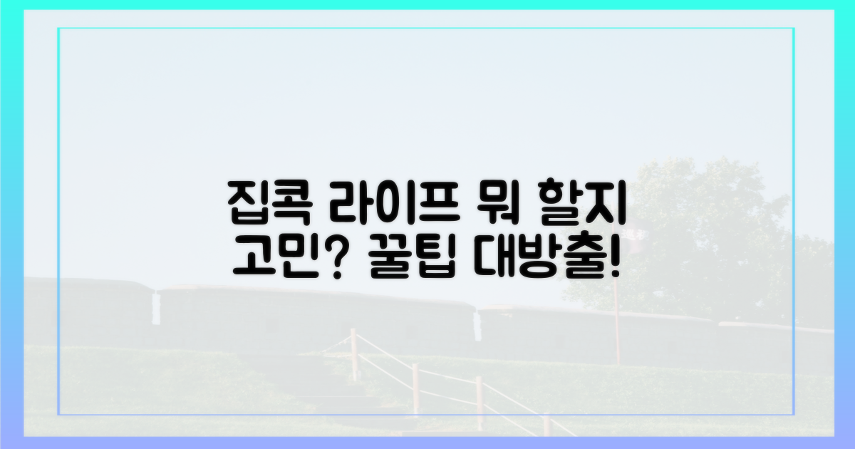 집에서 할 수 있는 건?