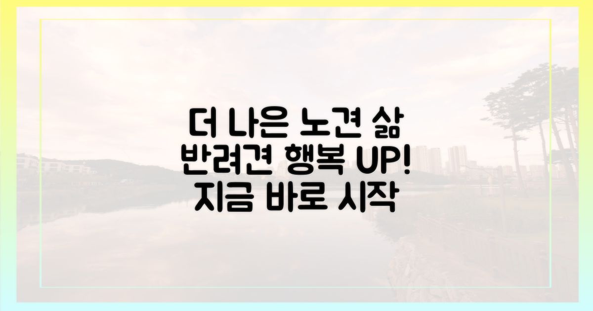 더 나은 노령견 삶을 만드세요