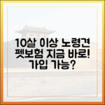 10살 이상 노령견, 지금 바로 가입 가능한 펫보험은?