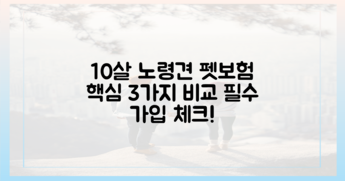 10살 이상 노령견 펫보험 3가지 핵심