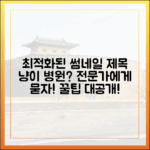 고양이 집사 필독! 냥이 전문 동물병원, 어떻게 찾아야 할까?