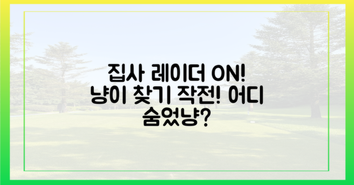 집사의 레이더, 어디에?