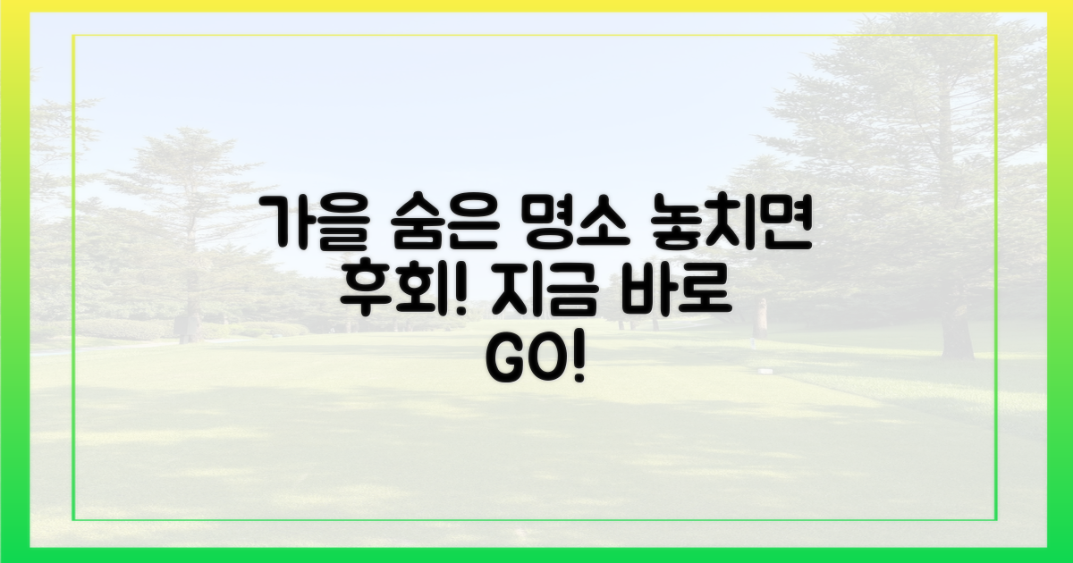 놓치면 후회! 숨겨진 가을 명소