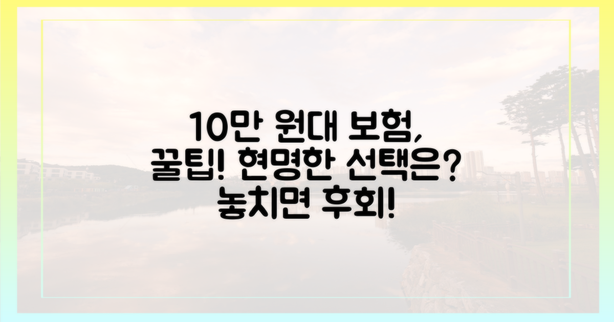 10만 원대 초반 보험
