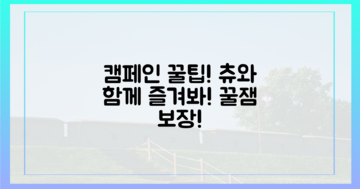 캠페인, 츄와 함께 즐기는 법?