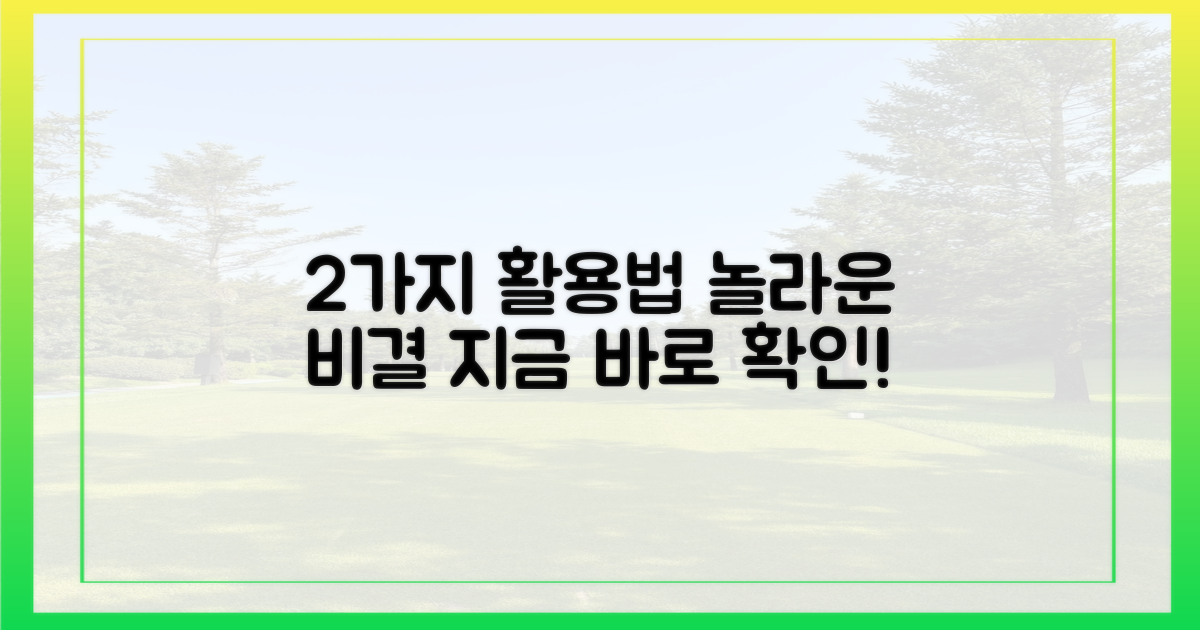 2가지 활용법 제안