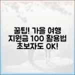 초보자도 꿀팁! '여행가는 가을' 지원금 활용법