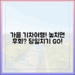 당일치기 기차여행! 가을, 놓치면 후회할까요?