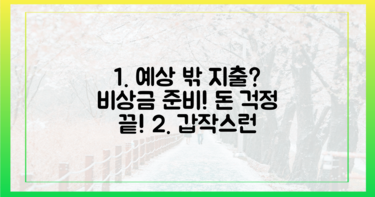 예상치 못한 지출 대비