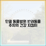 단골 동물병원을 만들어야 하는 진짜 이유: 주치의의 중요성