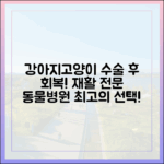 재활치료 전문 동물병원, 수술 후 회복을 위한 최선의 선택