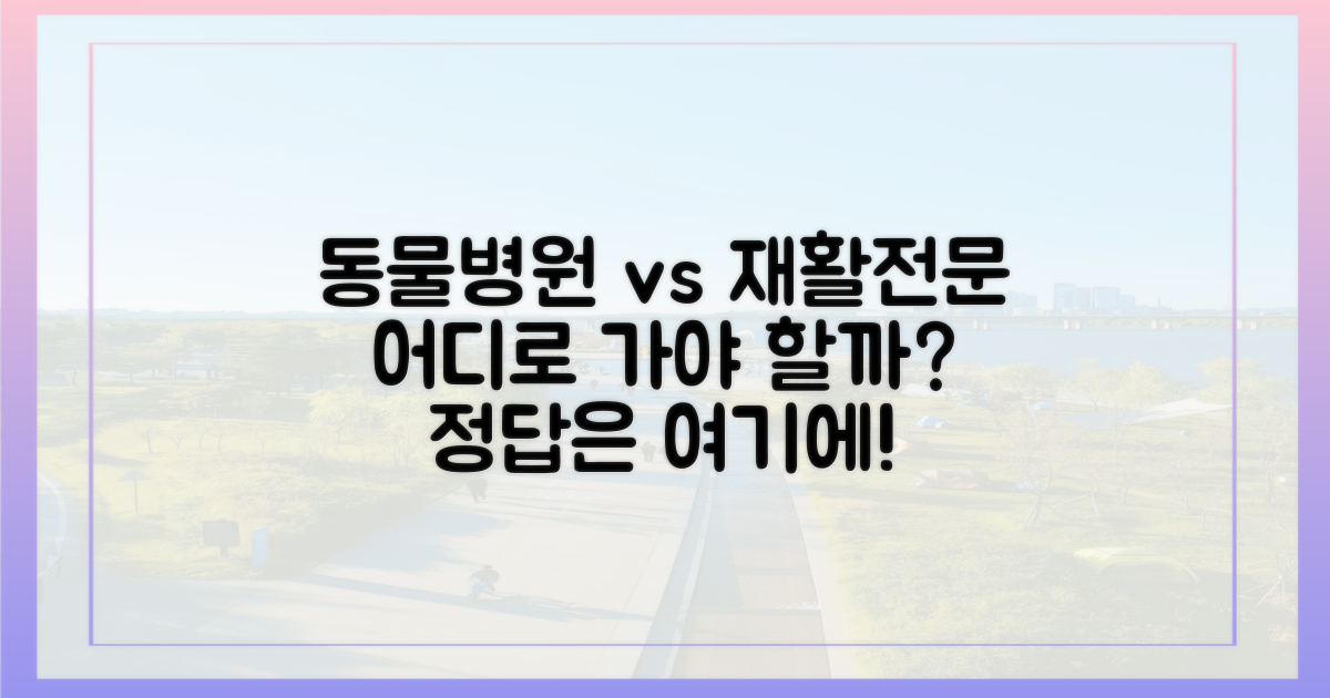 기존 동물병원 vs 재활 전문