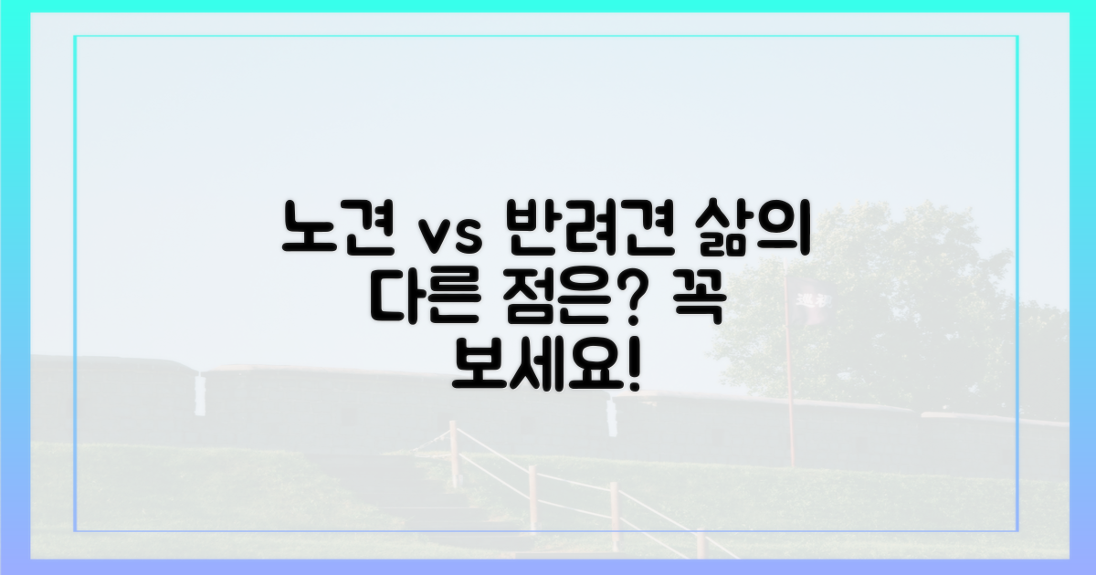 반려견, 노견의 삶은 어떻게 다를까?