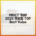 MRI, CT 검사비까지 보장! 2025년 프리미엄 펫보험 심층 비교