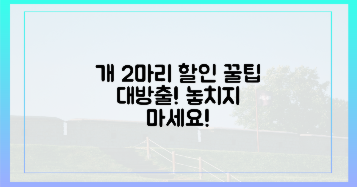 2가지 다견 할인 유형