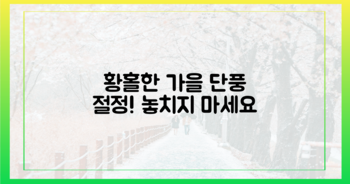 가을 단풍을 만끽하세요