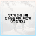 펫로스 증후군, 어떻게 대처해야 할까요? 무지개다리를 건넌 아이를 위한 애도