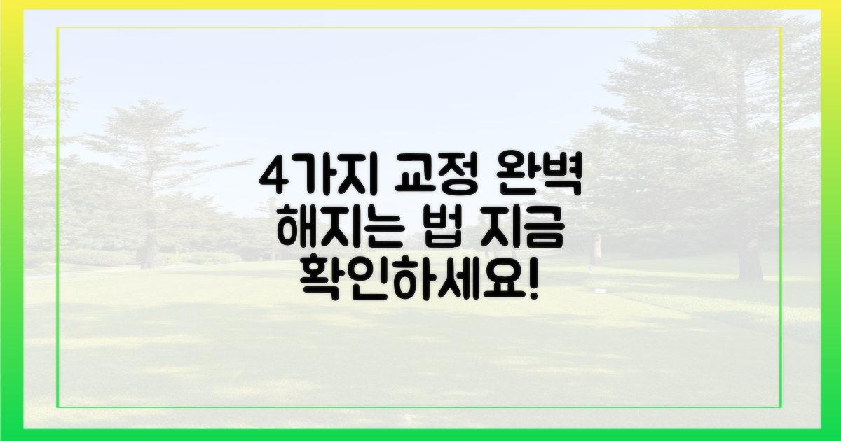 4가지 교정 방법