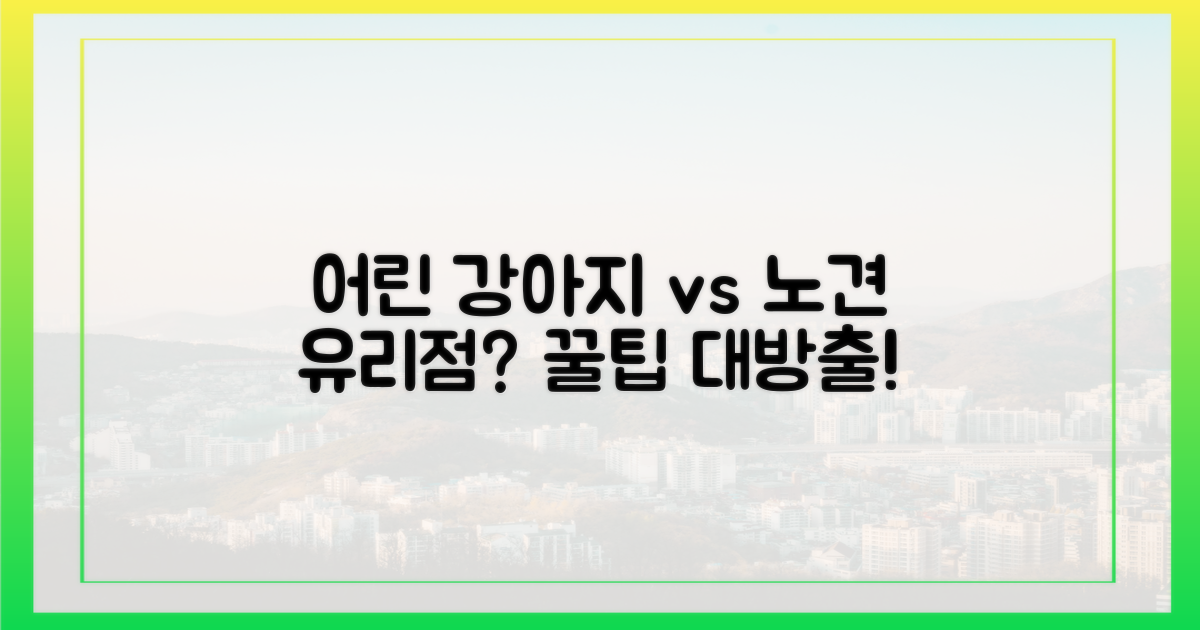 어린 강아지 vs 노령견 유리점