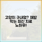 고양이 구내염, 재발 막는 최신 치료 및 관리 노하우