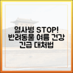 여름철 반려동물 건강 적신호, 열사병 예방과 응급 대처법