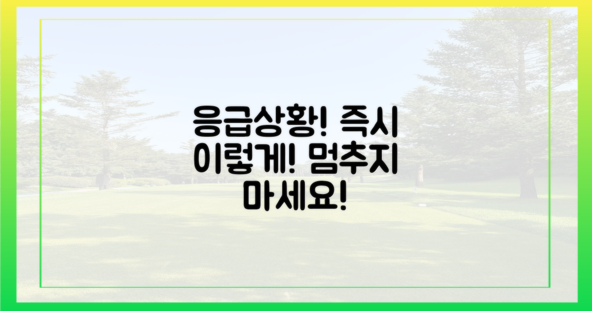 응급상황, 즉시 이렇게!