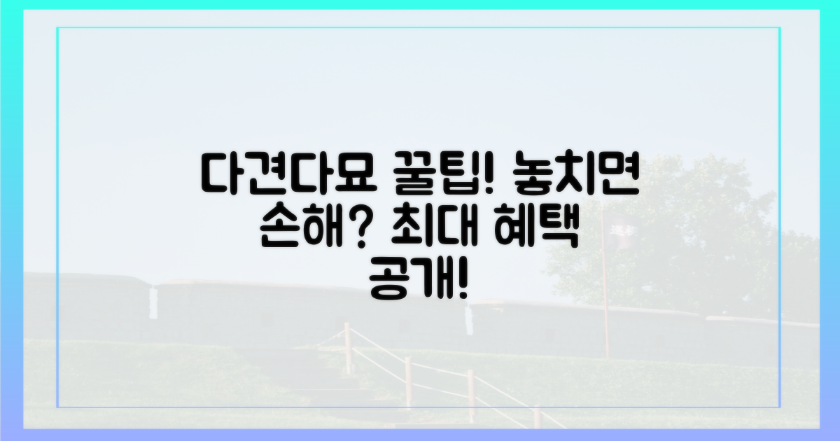 다견 다묘, 놓치면 후회할 혜택?