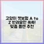 고양이 펫보험, 강아지와 무엇이 다를까? 집사 맞춤형 플랜 추천