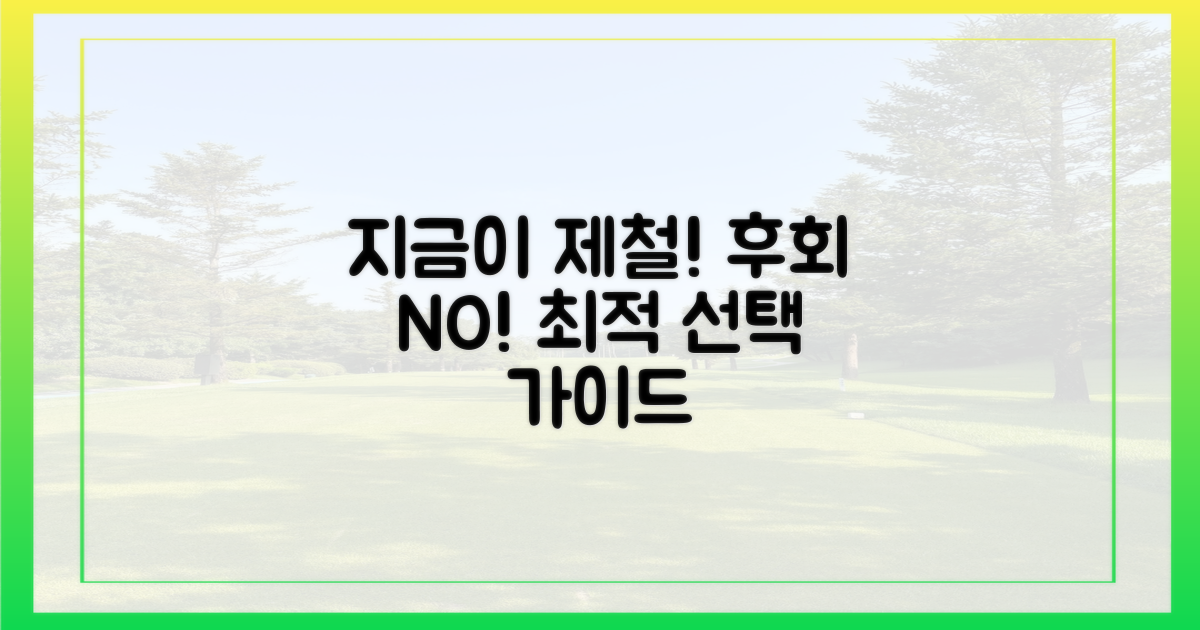 지금이 제철! 후회 없는 선택 가이드