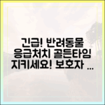 반려동물 응급 상황! 골든타임을 지키는 보호자의 응급처치 가이드