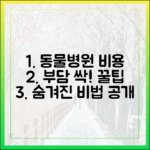 동물 병원 비용, 부담 덜어주는 숨겨진 팁 대공개