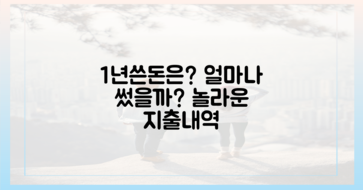 1년 동안 얼마나 썼을까?