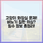 "우리 고양이, 화장실을 못 가요" 고양이 비뇨기 질환의 모든 것