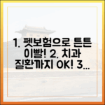 치과 질환까지 꼼꼼하게, 이빨 치료 보장하는 펫보험 찾기