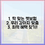 당신의 반려견 품종에 딱 맞는 맞춤형 펫보험 추천