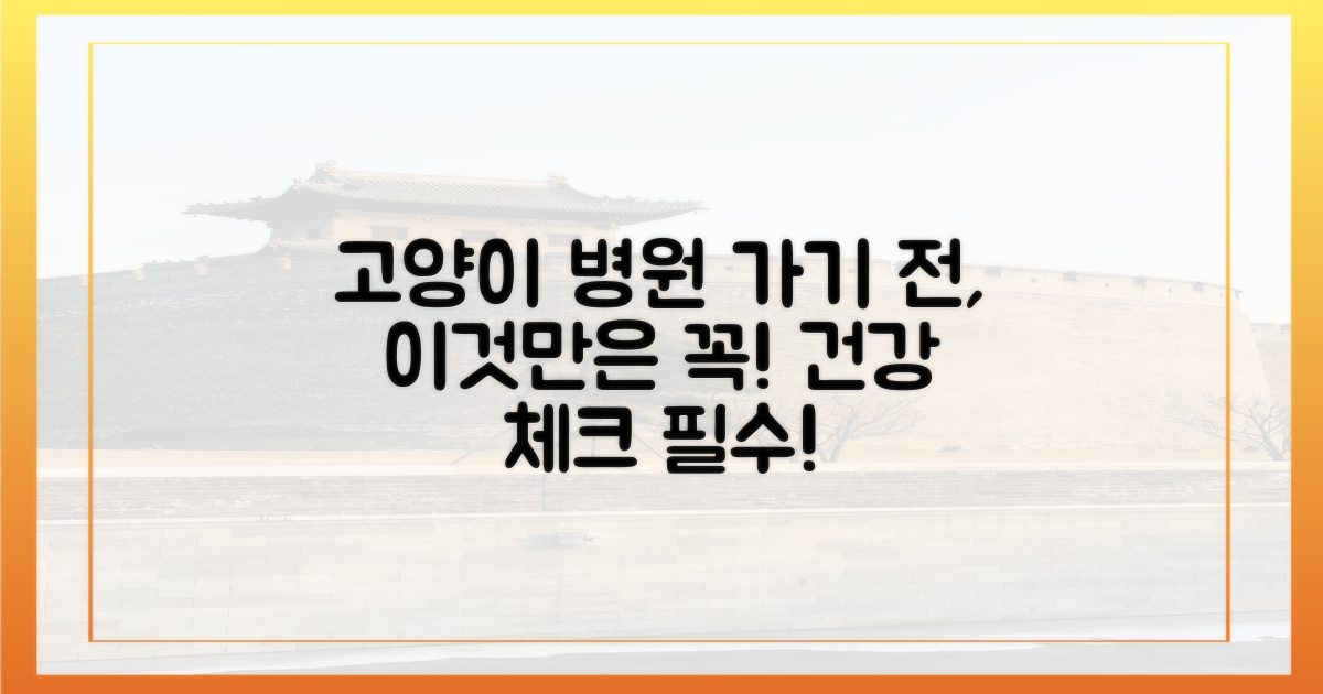 고양이 병원 방문 전, 이것만은 기억하세요